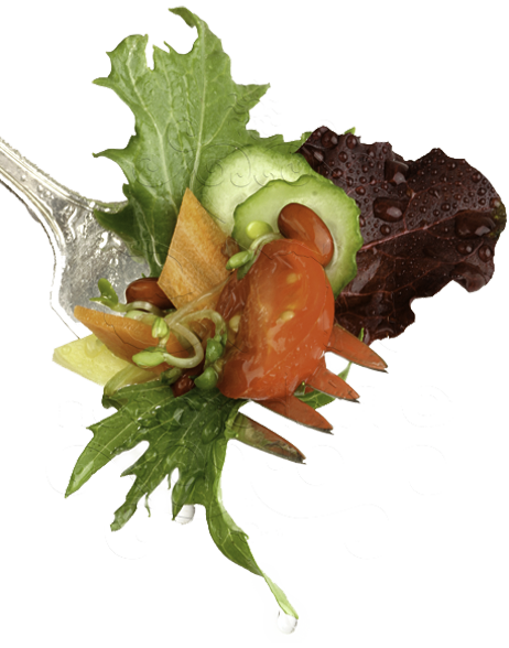 Salad on a Fork